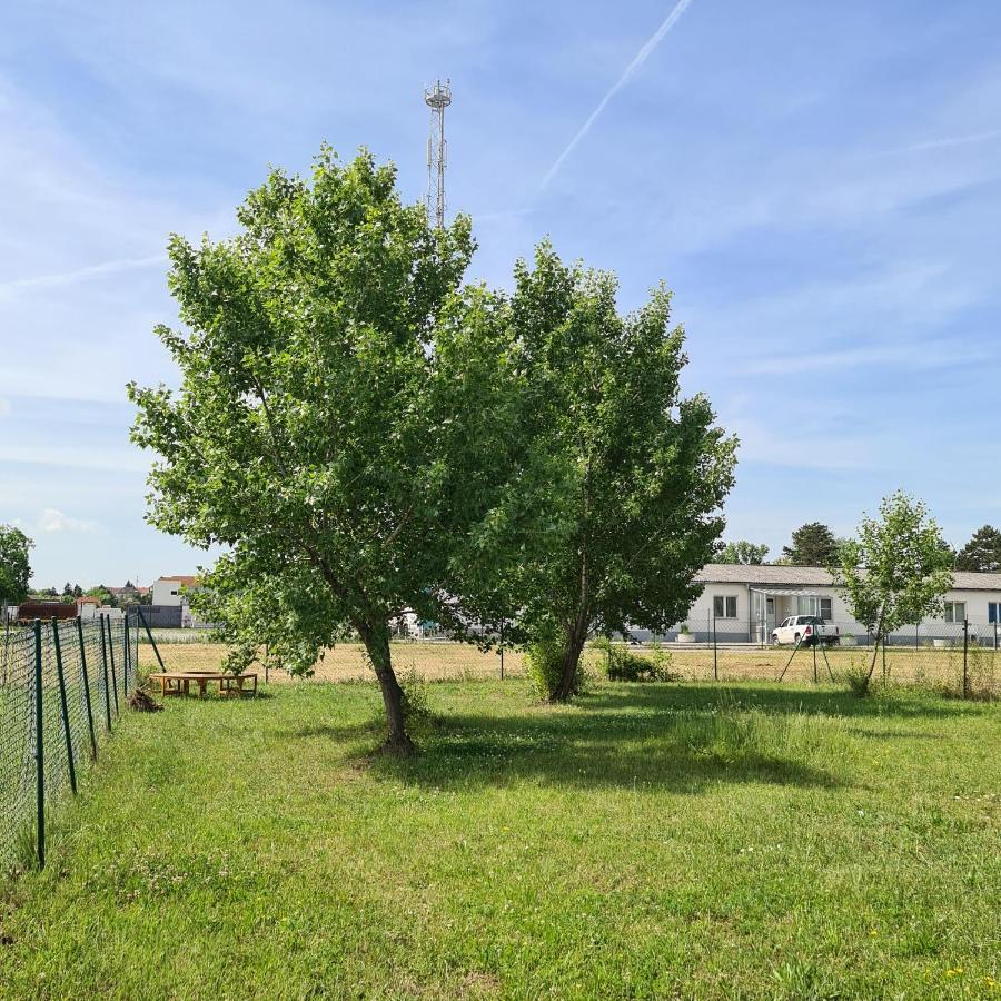 Tiny House Villa Neusiedl an der Zaya Eksteriør billede